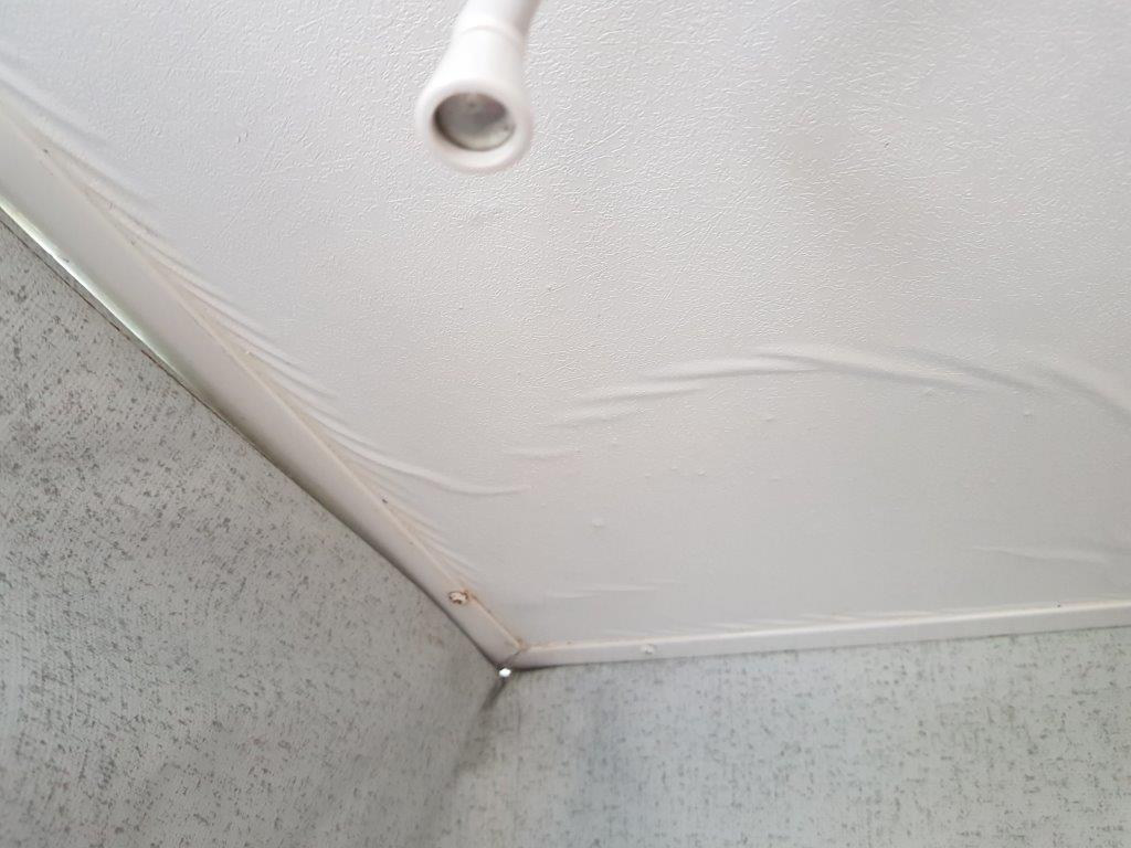 Ceiling Water Leaks 2